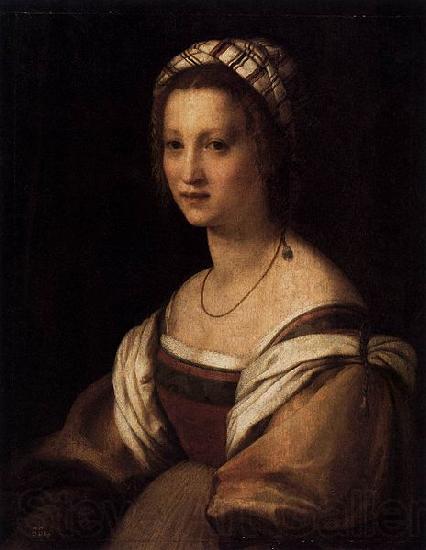 Andrea del Sarto Portrait of the Artists Wife Norge oil painting art